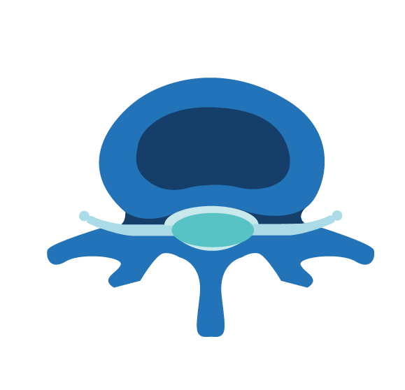 HEALTHY DISC